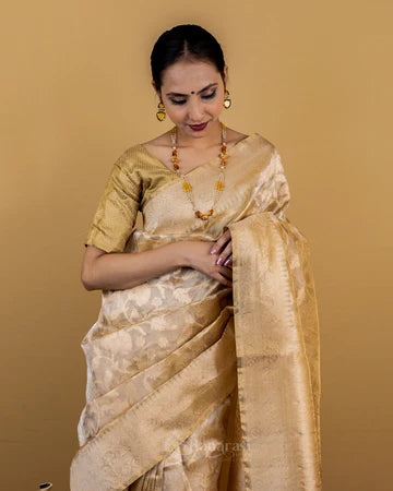 Beige Floral Jaal Handwoven Tissue Banarasi Silk Saree
