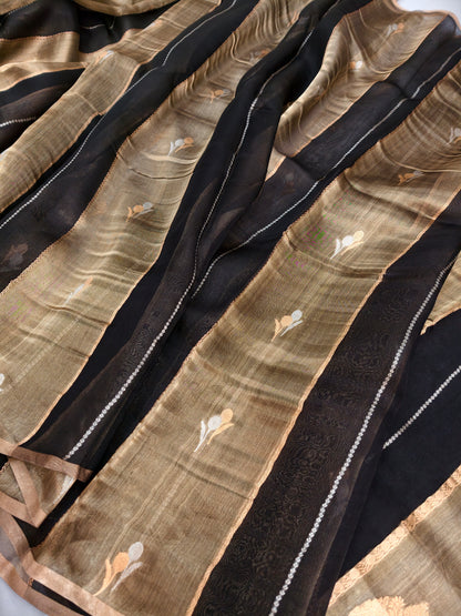 Black Golden Kora Tissue Silk Saree